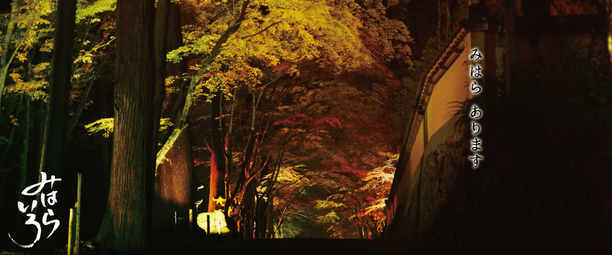 仏通寺の紅葉ライトアップ